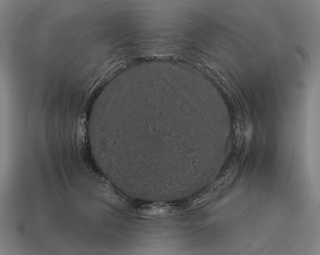 X0000115120612200911101628