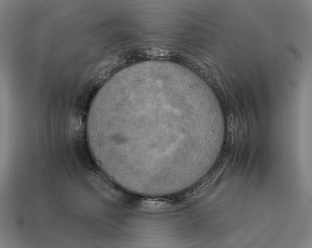 X0000115120614200911101628