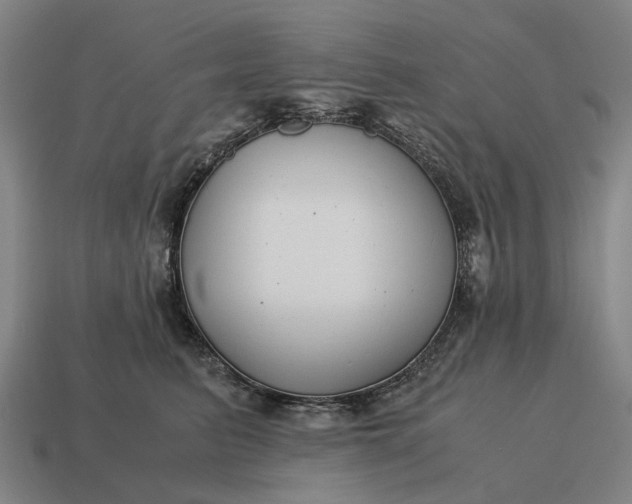 X0000115120615200911101628