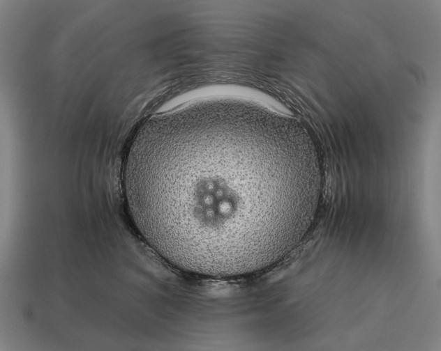 X0000115120616200911101628