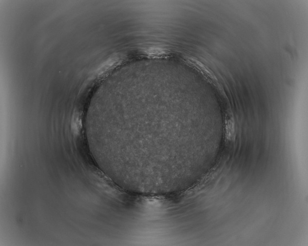 X0000115120618200911101628