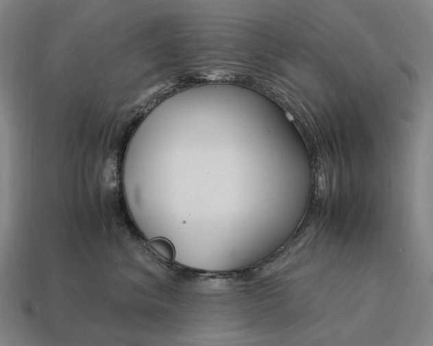 X0000115120620200911101628