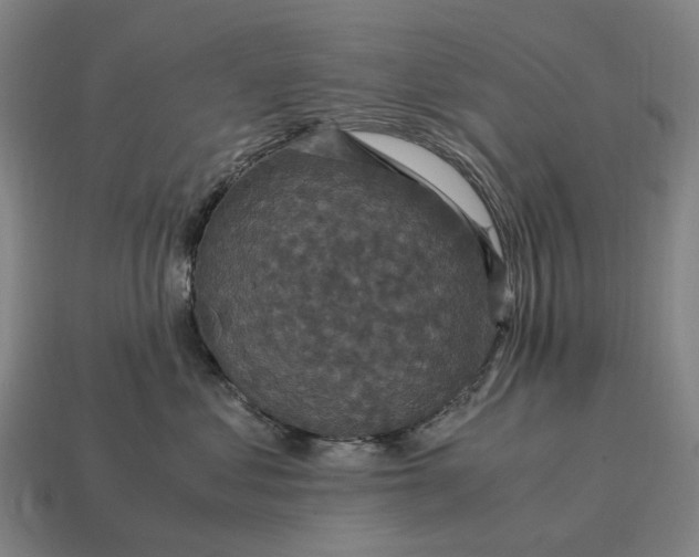 X0000115120621200911101628