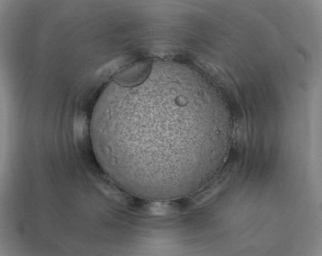 X0000115120623200911101628