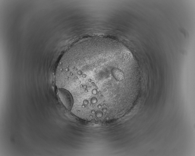 X0000115120624200911101627