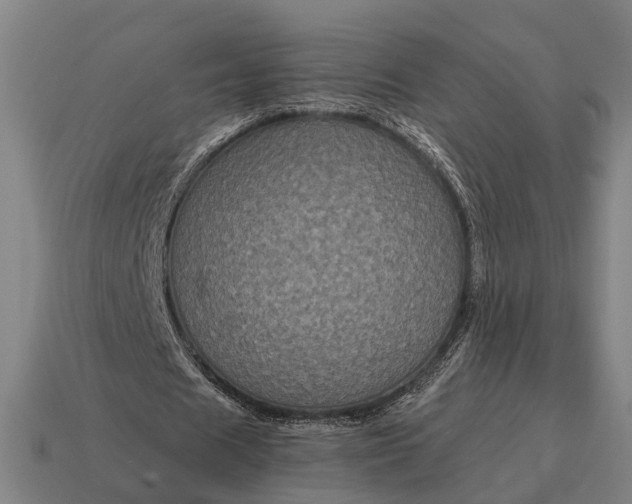 X0000115120625200911101627