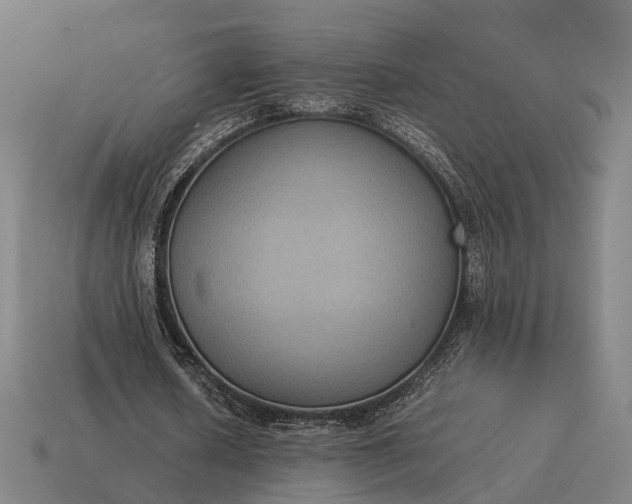 X0000115120626200911101627