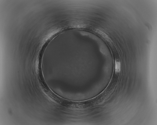 X0000115120627200911101627