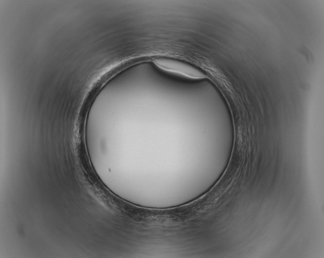 X0000115120628200911101627