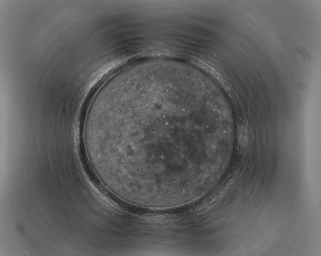 X0000115120629200911101627