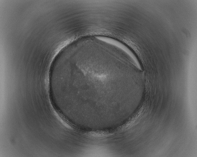 X0000115120630200911101627