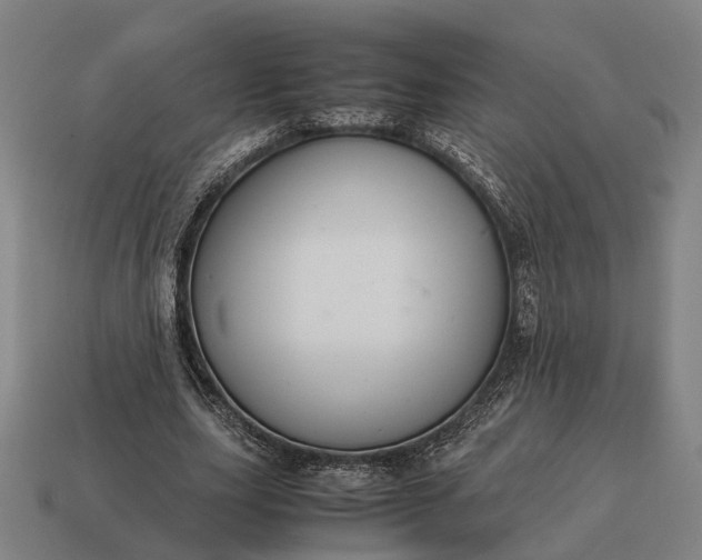X0000115120631200911101627