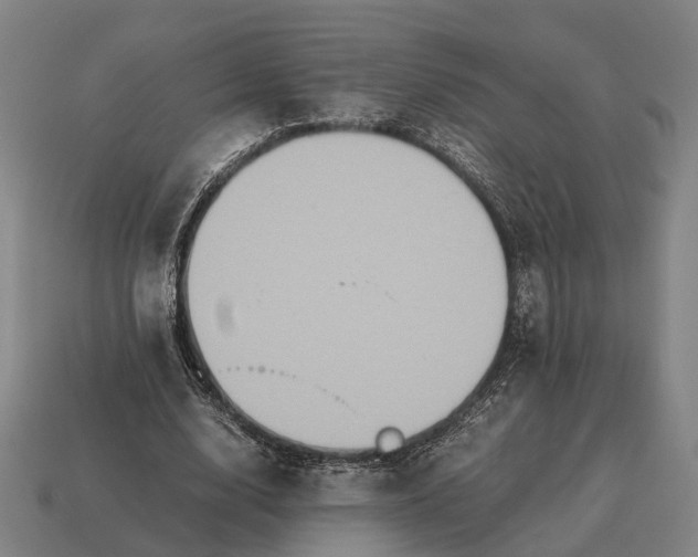 X0000115120632200911101627