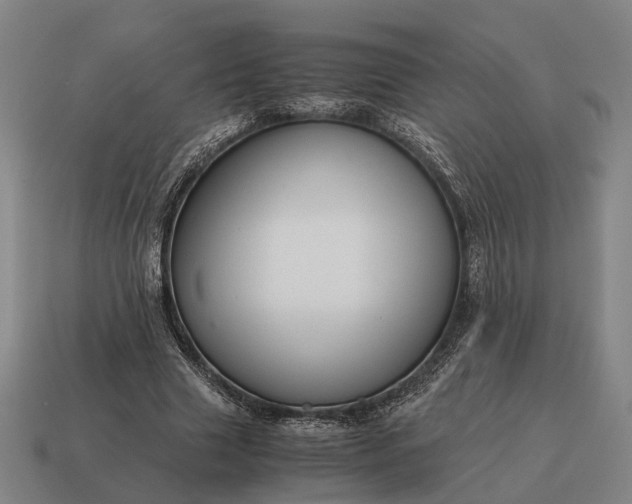 X0000115120633200911101627