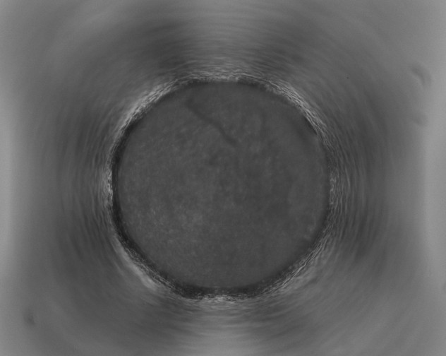 X0000115120634200911101627