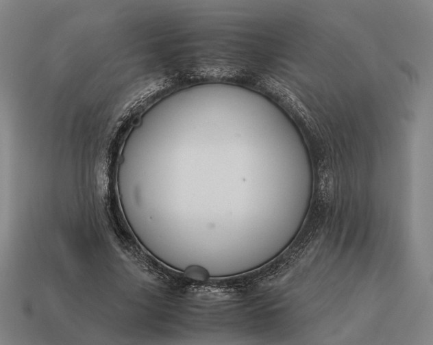 X0000115120635200911101627