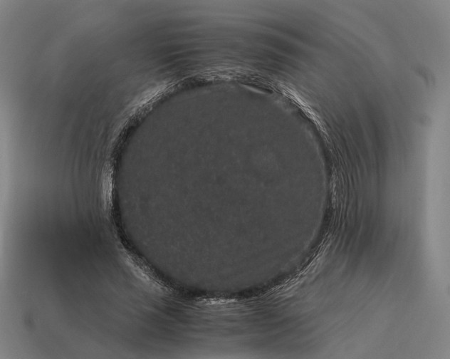 X0000115120637200911101627