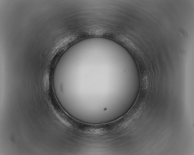 X0000115120638200911101627