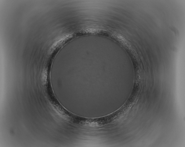 X0000115120640200911101627