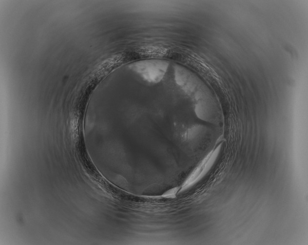X0000115120641200911101627