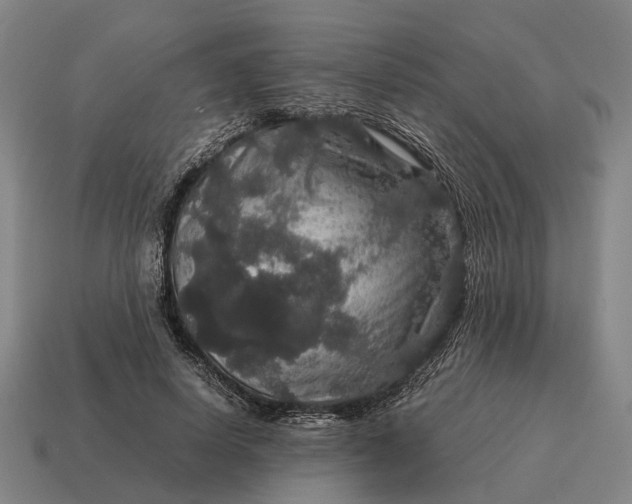X0000115120642200911101627