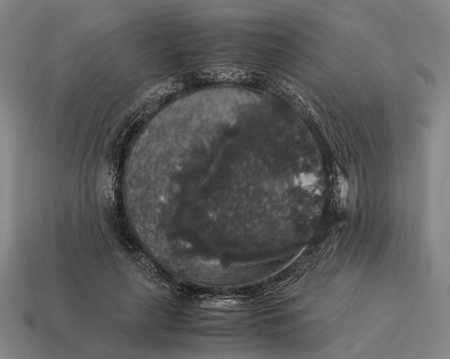 X0000115120643200911101627
