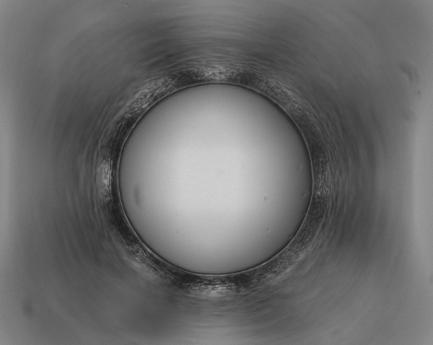 X0000115120646200911101627