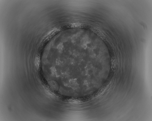 X0000115120648200911101627