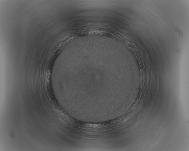 X0000115120649200911101627