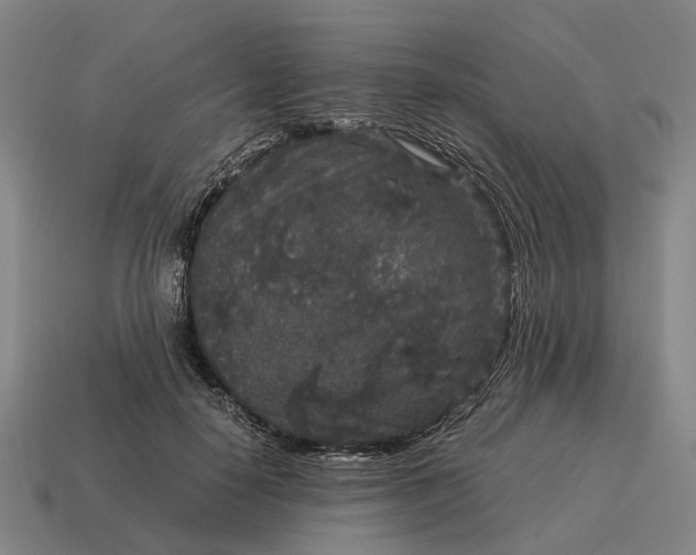 X0000115120650200911101627