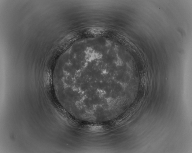 X0000115120651200911101627