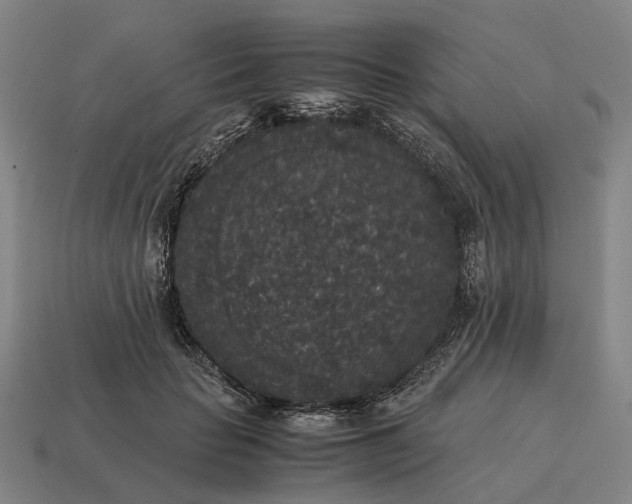X0000115120653200911101627