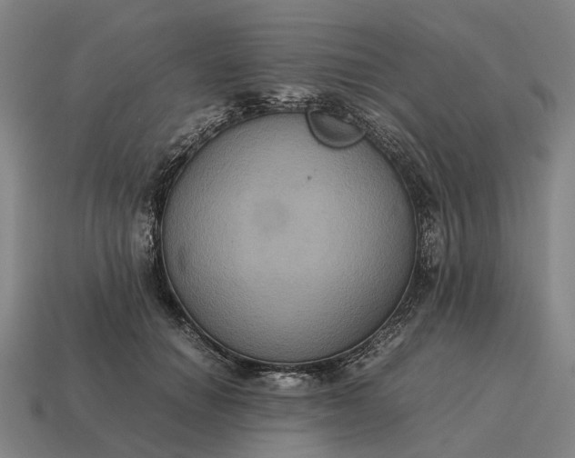 X0000115120654200911101627