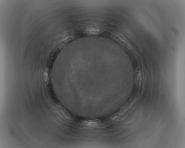 X0000115120655200911101627