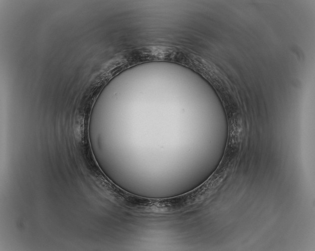 X0000115120656200911101627