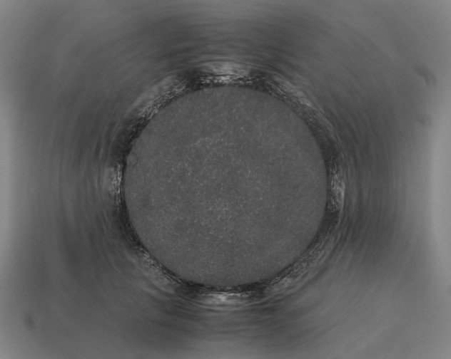 X0000115120657200911101627