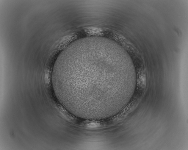 X0000115120658200911101627