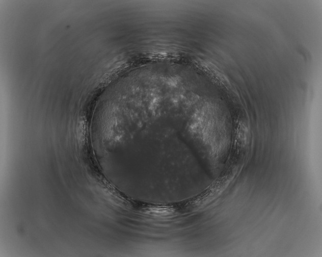 X0000115120659200911101627