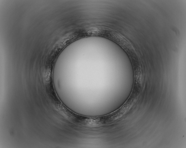 X0000115120660200911101627