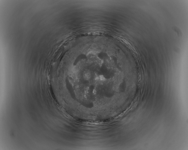 X0000115120661200911101627