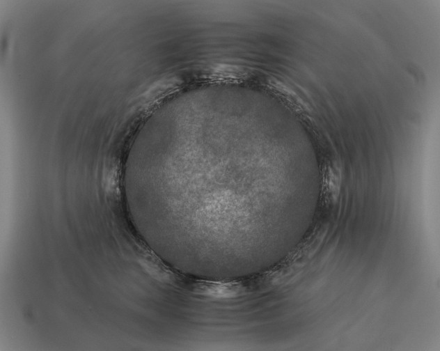X0000115120663200911101627