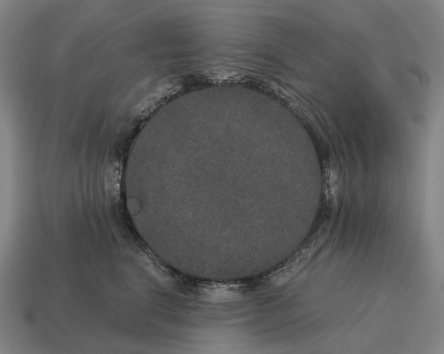 X0000115120664200911101627