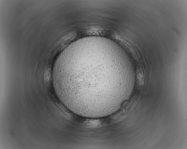 X0000115120665200911101627