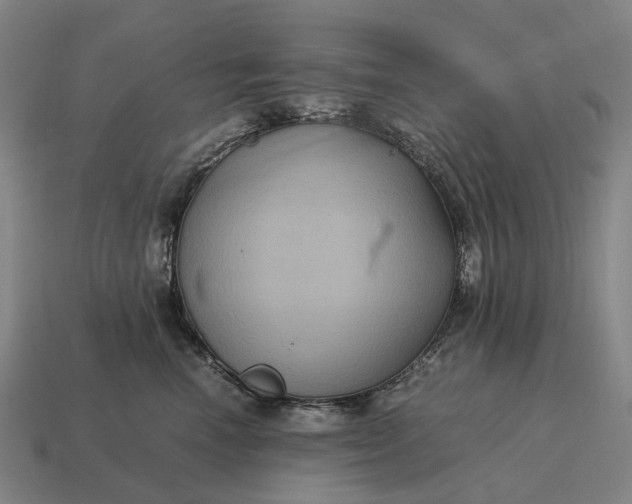 X0000115120666200911101627