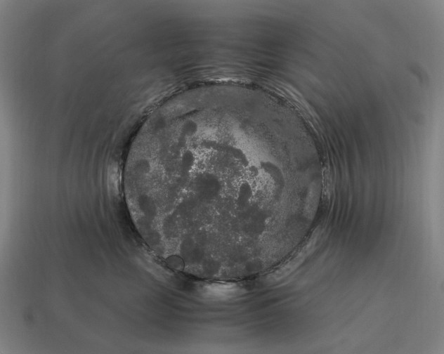 X0000115120669200911101627
