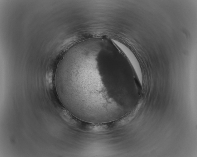 X0000115120670200911101627