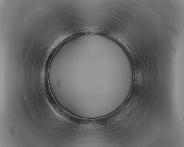X0000115120674200911101627