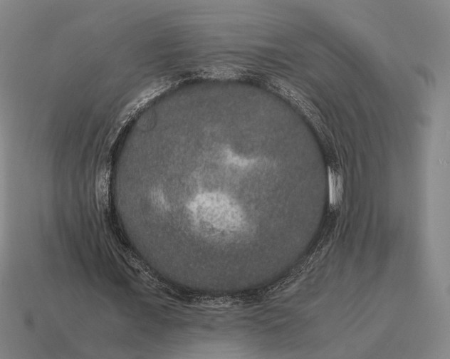 X0000115120675200911101627