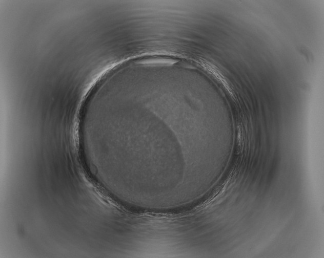 X0000115120676200911101627