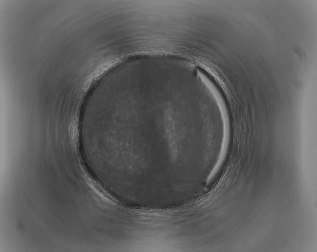 X0000115120677200911101627